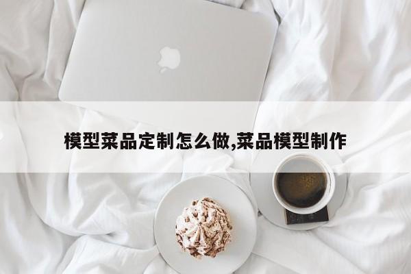 模型菜品定制怎么做,菜品模型制作