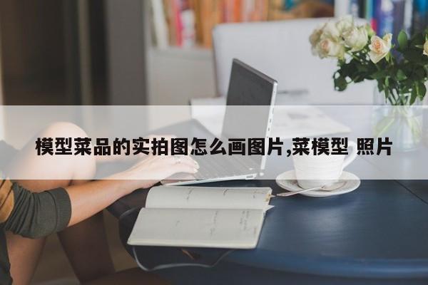 模型菜品的实拍图怎么画图片,菜模型 照片