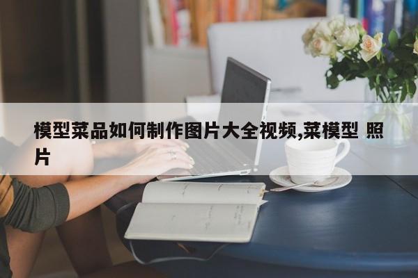 模型菜品如何制作图片大全视频,菜模型 照片