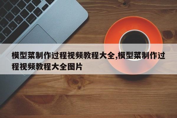 模型菜制作过程视频教程大全,模型菜制作过程视频教程大全图片