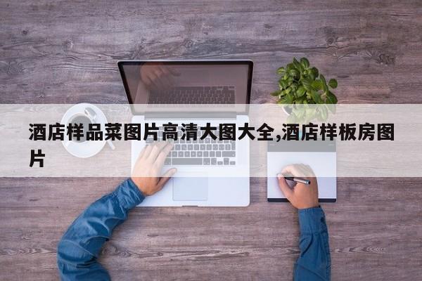 酒店样品菜图片高清大图大全,酒店样板房图片
