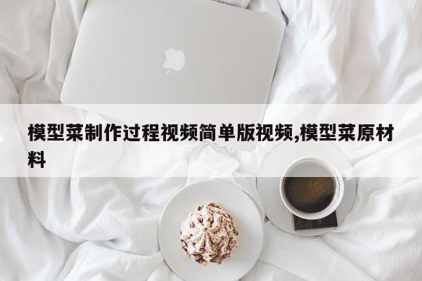模型菜制作过程视频简单版视频,模型菜原材料
