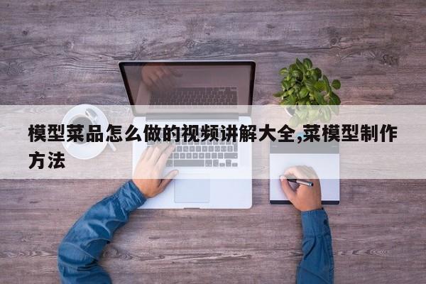 模型菜品怎么做的视频讲解大全,菜模型制作方法