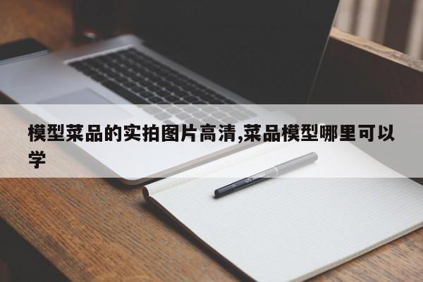 模型菜品的实拍图片高清,菜品模型哪里可以学