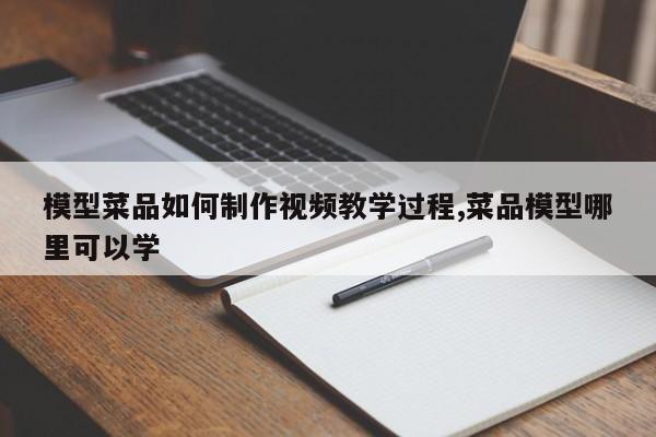 模型菜品如何制作视频教学过程,菜品模型哪里可以学