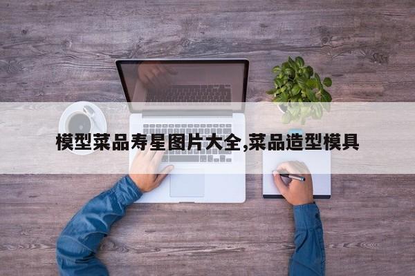 模型菜品寿星图片大全,菜品造型模具