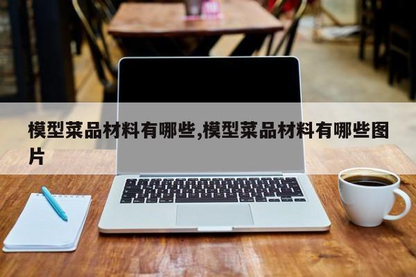 模型菜品材料有哪些,模型菜品材料有哪些图片