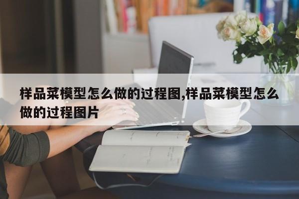 样品菜模型怎么做的过程图,样品菜模型怎么做的过程图片