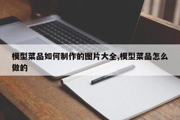 模型菜品如何制作的图片大全,模型菜品怎么做的