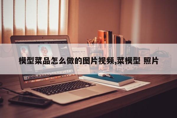 模型菜品怎么做的图片视频,菜模型 照片