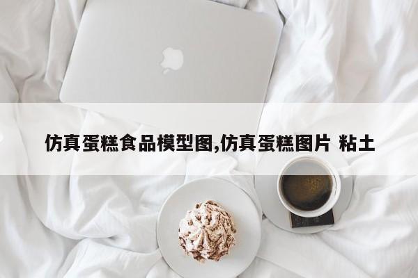 仿真蛋糕食品模型图,仿真蛋糕图片 粘土