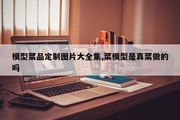 模型菜品定制图片大全集,菜模型是真菜做的吗