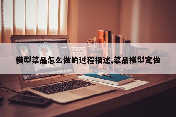 模型菜品怎么做的过程描述,菜品模型定做
