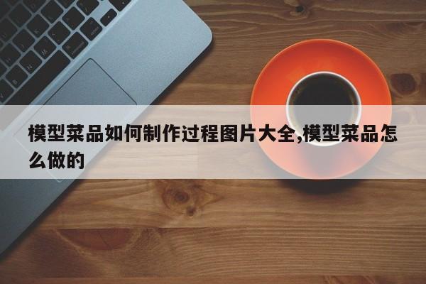模型菜品如何制作过程图片大全,模型菜品怎么做的